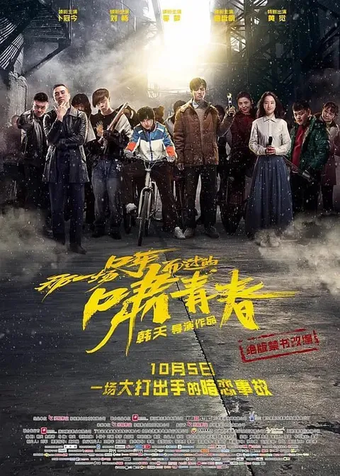 那一场呼啸而过的青春 (2017)