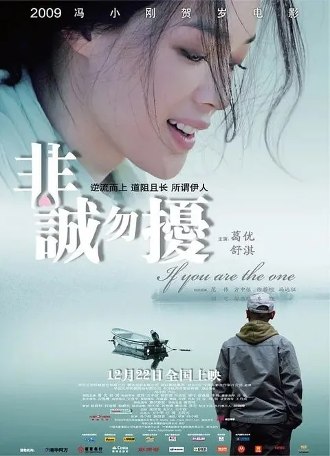 【原盘】非诚勿扰 (2008) 1080P REMUX 国粤多音轨 内封简/繁英双语字幕