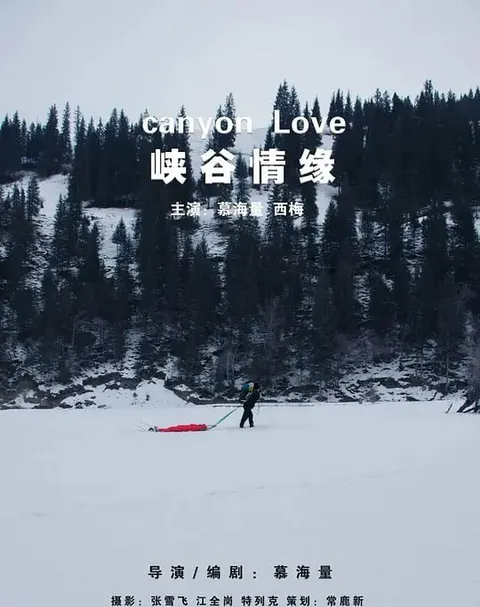 峡谷情缘 (2024)