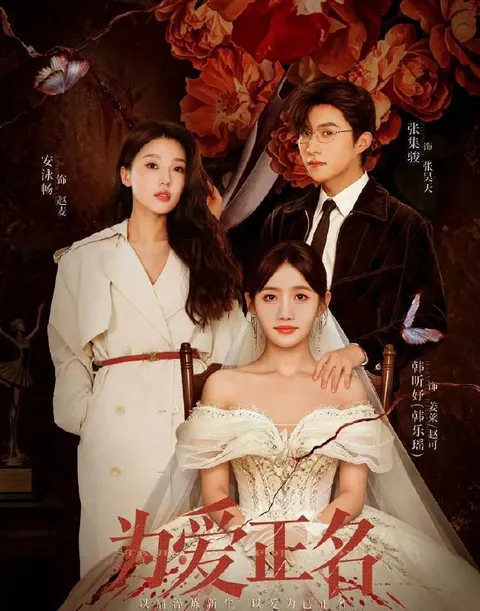 为爱正名 (2026) 更新至6集