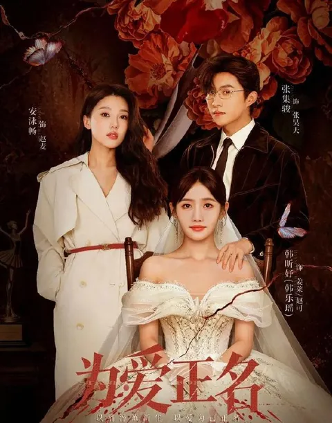 为爱正名 (2026) 更新至15集