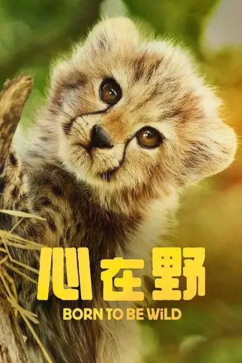 生而狂野 (2025) 1080P 全6集 内封简繁英字幕