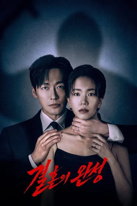 婚姻之后 (2026)