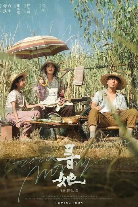 寻她（2025）4K HQ 高码率 国粤双语 DTS环绕声&FLAC无损HiFi声 内嵌简英