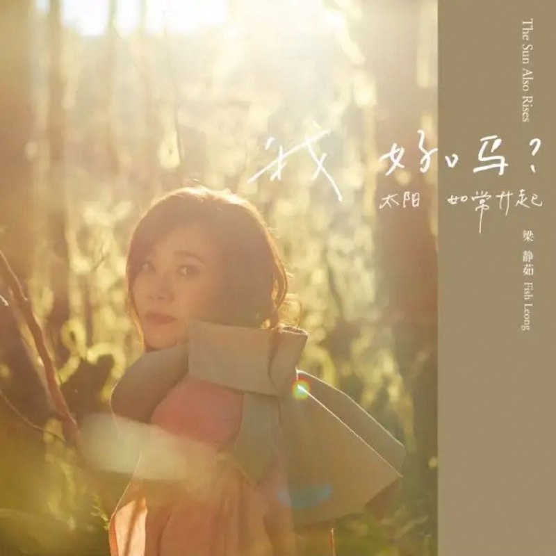 梁静茹 - 我好吗？－太阳如常升起 FLAC 24bit 192khz